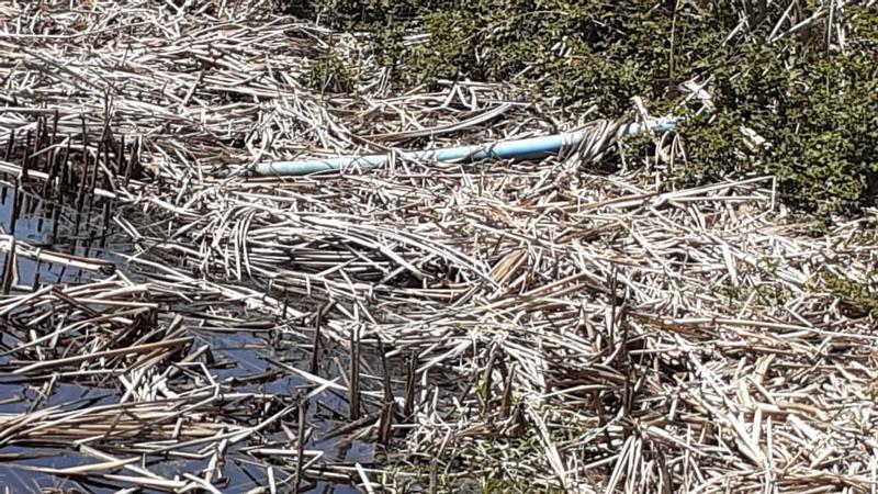 0 Bedroom Property for Sale in Albertinia Western Cape